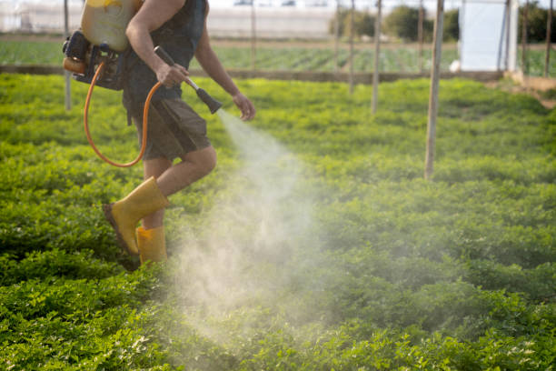 Best Best Pest Control Near Me  in Pasatiempo, CA